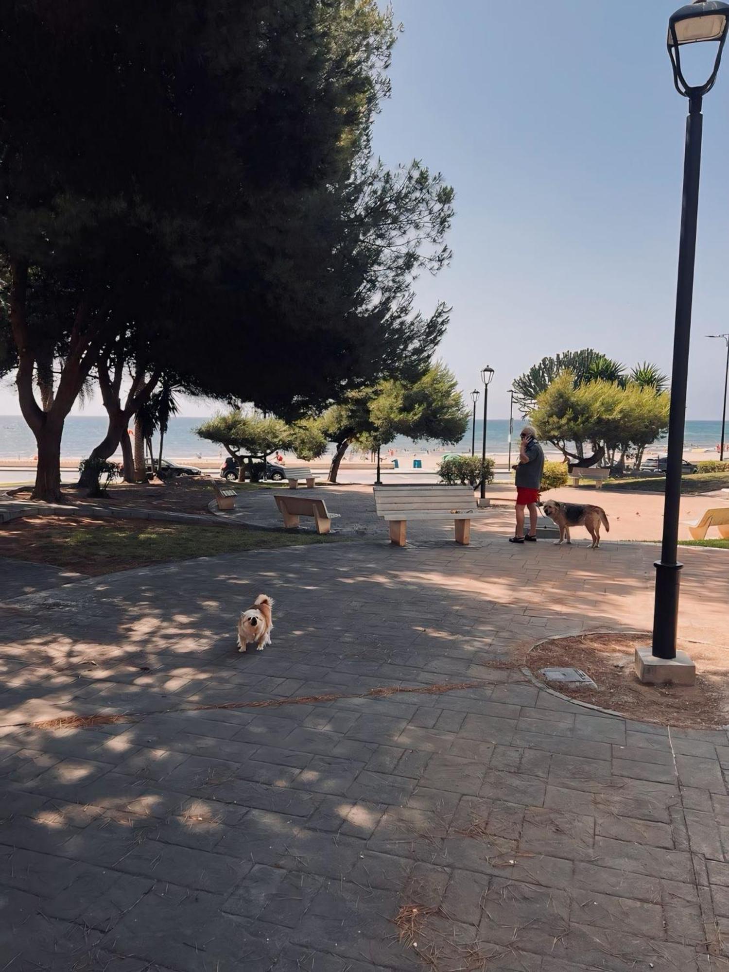Appartamento 50 Pasos Hacia El Mar El Campello Esterno foto